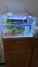 YEE鱼缸金晶超白玻璃水族箱小型桌面客厅40金鱼缸裸缸热弯鱼缸自循环 35*21*23cm+壁挂过滤器+鱼缸灯 实拍图