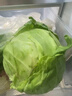 山东新鲜甘蓝包菜卷心菜圆白菜新鲜嫩绿莲花白现摘现发早餐减脂 新鲜包菜 1.5-2斤 人工挑拣 实拍图