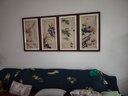 紫腾随轩梅兰竹菊挂画新中式四联壁画中国风四条屏客厅沙发背景墙画装饰画 图9 50*90cm*4红木色实木框 实拍图