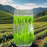 春馥堂雀舌绿茶2025新茶颗颗嫩芽明前特级湄潭毛尖高山茶清香型正品好茶 【初选款】90％以上含芽率(袋装) 500g 实拍图