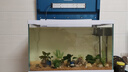 长锐鱼缸客厅大型造景生态超白玻璃家用办公室免换水水族箱 超白MC820+小水榕景（真水草） 实拍图