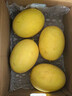 京鲜生 海南黄金哈密瓜 3-4粒  净重12斤 单果3斤起 生鲜水果礼盒 实拍图