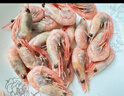 鲜京采 精选北极甜虾 净重3斤/盒 135-180只 解冻即食  实拍图