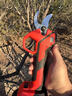 智汇电动剪刀剪树枝修枝剪修树枝大功率果树充电园林剪刀无刷园艺剪 重剪数显款【开口5CM】两电一充 无刷铜芯电机【全新升级】 实拍图