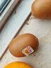 佳沛（zespri）新西兰  阳光金奇异果6粒装 单果约77-103g  源头直发  猕猴桃 实拍图