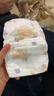 弗尼小象拉拉裤 婴幼儿超薄干爽夏季透气尿不湿 拉拉裤L码 46片（9-14kg） 实拍图