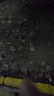 雷士（NVC）LED灯盘吸顶灯替换灯芯灯板磁吸光源灯珠灯泡贴片圆形灯管24W三色 实拍图