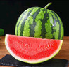 京鲜生 无籽麒麟西瓜 1粒装 单果5-7斤 生鲜水果 实拍图
