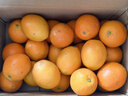 集南鲜 赣南脐橙 江西橙子新鲜现摘水果脐橙时令生鲜水果甜橙 水果礼盒 净重9斤 甄选橙 单果70-80mm 实拍图