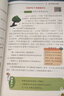 学虫数学同步阅读三年级上下册全一册数学阅读课外书通用版学习方法专项训练数学文化趣味阅读精粹绘本 实拍图