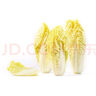 【嫩芽尖尖】娃娃菜苗250g(长度≤12cm) 实拍图
