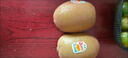 佳沛（zespri）绿奇异果经典果16粒礼盒单果约86-103g 水果 猕猴桃 实拍图