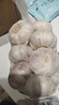 山东金乡蒜大蒜出口标准精选大蒜头蔬菜调料单果5cm 出口标准网兜装箱 455g 5-5.5cm特大 实拍图