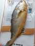 三都港 冷冻宁德大黄鱼700g/2条装 黄花鱼 生鲜鱼类 深海鱼 实拍图