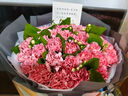 初卉（C·hui）鲜花同城配送玫瑰花鲜花花束鲜花速递女友老婆女生日礼物预定花店 I款-33朵粉康花束-母爱如花 鲜花 实拍图