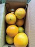 京觅 江西赣南脐橙4.5斤净重橙子单果160g纽荷尔甜橙新鲜水果源头直发 实拍图