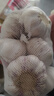 山东金乡蒜大蒜出口标准精选大蒜头蔬菜调料单果5cm 出口标准网兜装箱 455g 5-5.5cm特大 实拍图