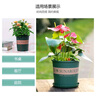 墨斗鱼花盆加仑盆加厚高款5加仑*2种菜盆大号盆栽树脂塑料简约带托盘 实拍图