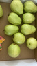 京觅福建芭乐 白心芭乐 土番石榴单果150g 4.5斤装 实拍图