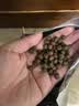 宝诺滋无谷鲜肉全价猫粮成幼猫全品种全期主粮通用试吃猫干粮 三文鱼鲜鸡肉【45%粗蛋白】3斤 实拍图