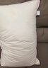水星家纺枕头枕芯酒店枕头护颈枕头芯家用单个纯棉抗菌可水洗中枕48x74cm 实拍图