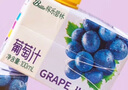 稼乐碧林稼乐碧林果汁 葡萄汁100mL*24盒低脂浓缩果汁饮料整箱装年货 实拍图