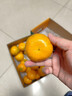 京鲜生 无核蜜桔 精选5斤装橘子/桔子  单果100g+ 生鲜水果礼盒 实拍图