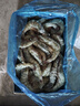 GUO LIAN国联 国产盐冻大虾 无冰净重3斤 特大号45-60只 白对虾海鲜生鲜 实拍图
