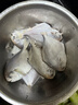渔游记 鲳鱼青岛银鲳鱼海捕小白鲳鱼新鲜冷冻海平鱼昌鱼速冻海鲜水产 6-8条/斤*5斤 实拍图