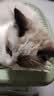 欧卡曼布偶猫专用猫粮 幼猫小猫成猫成年全阶段全价营养10斤装 布偶猫幼猫专用5斤 实拍图