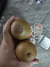 佳沛（zespri）新西兰 阳光金奇异果12粒礼盒特大果单果约122-146g 猕猴桃 水果 实拍图