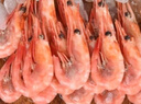 鲜京采 海藻头熟冻北极甜虾 净重5斤 90/120规格 225-300只/盒  实拍图