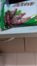 涝河桥 供港宁夏滩羊孜然羊肉串240g/袋约12串 羊肉生鲜烧烤食材 实拍图