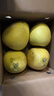 京鲜生 泰国青柚 蜜柚 巨大果4粒礼盒 单果1kg+ 中秋水果礼盒 源头直发 实拍图