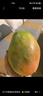 京鲜生 攀枝花凯特芒果 净重8.5斤 带箱9斤 单果500g+ 生鲜水果源头直发 实拍图