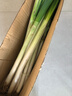 京鲜生山东正宗铁杆大葱净重5斤脆嫩佐料辅餐源头直发包邮 实拍图