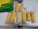 十月稻田 黄糯玉米 3.52斤(220g*8根) 25年新玉米 低脂 早餐零食 东北玉米 实拍图