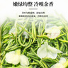 春上早茉莉花茶  2025新茶特级飘雪浓香型茉莉毛尖四川花茶叶散罐装125g 实拍图