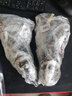 鲟食 波士顿龙虾冰鲜冷冻大波龙澳龙大龙虾生鲜虾类夜宵送礼 波士顿龙虾【生冻】 900-1000g/只 实拍图