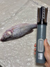 三个小厨电动刮鱼鳞神器刨刮鳞器打鱼鳞器防水全自动无线刮鱼鳞机家用商用 【15000r/min转速+6叶刀头】充电 实拍图