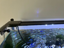 森森（SUNSUN）鱼缸灯LED水草灯防水支架灯全光谱鱼缸观赏灯爆藻照明草缸灯 更薄更亮6.5W防水灯（适合41-50cm缸） 实拍图