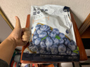 萃林 蓝莓干东北小兴安岭野生蓝莓干无添加剂蓝梅果干500g/袋 500g 实拍图