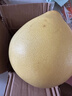 梅州红肉蜜柚白心柚子红柚子新鲜水果碌柚万澄非沙田柚非三红柚 梅州白肉蜜柚 【试吃】蜜柚1粒 净重1.4-1.8斤 实拍图