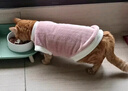 宜品达QC猫咪衣服保暖秋冬季布偶猫背心绒衣宠物小型犬狗狗小猫幼猫 高品质兔毛绒-桔色 L (6-9斤内) 实拍图