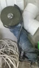 东成角磨机WSM710-100手磨机磨光机打磨机切割机电动工具 实拍图