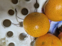京鲜生 广西砂糖橘 净重8斤 单果35-45mm  新鲜水果 源头直发包邮 实拍图