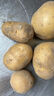 【真便宜】红皮土豆高原黄心土豆马铃薯红皮黄心洋芋 蔬菜水果 红皮土豆 2斤 单果1-3两 实拍图