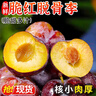 庾丰 当季新疆女神西梅 新鲜水果整箱 孕妇陕西蓝蜜法兰西梅李 5斤装（净果4.5斤）优选果 颗颗甄选 产地直发 实拍图