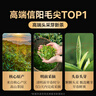 贡苑头采信阳毛尖特级250g 2025新茶明前绿茶高档茶叶礼盒装送长辈 实拍图