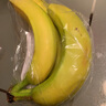佳农 超甜香蕉800g 实拍图